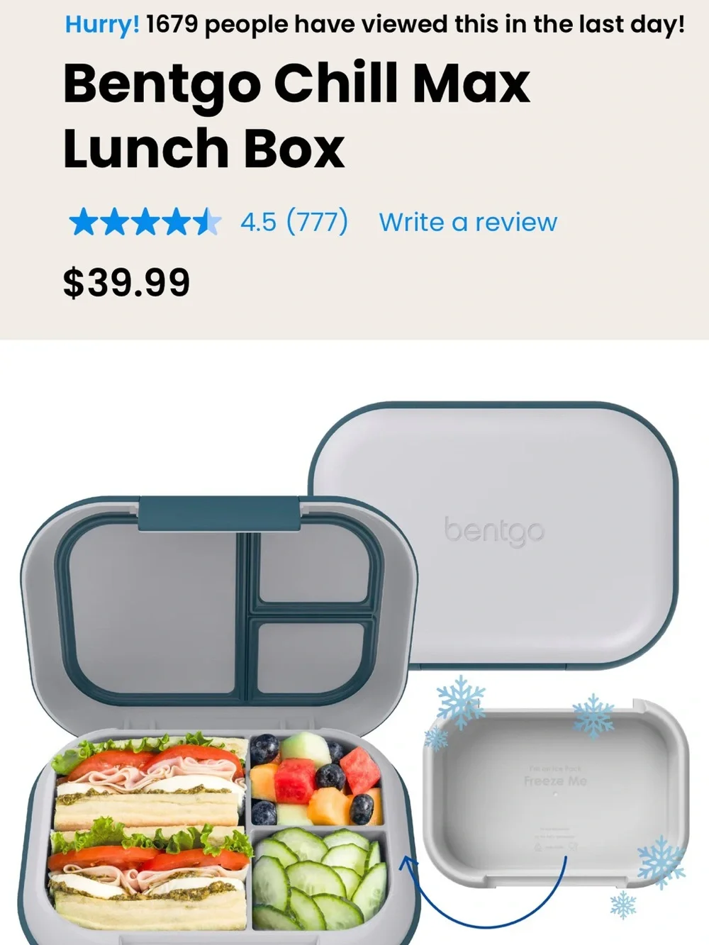 Pair of Bentgo lunchboxes with freezable inserts